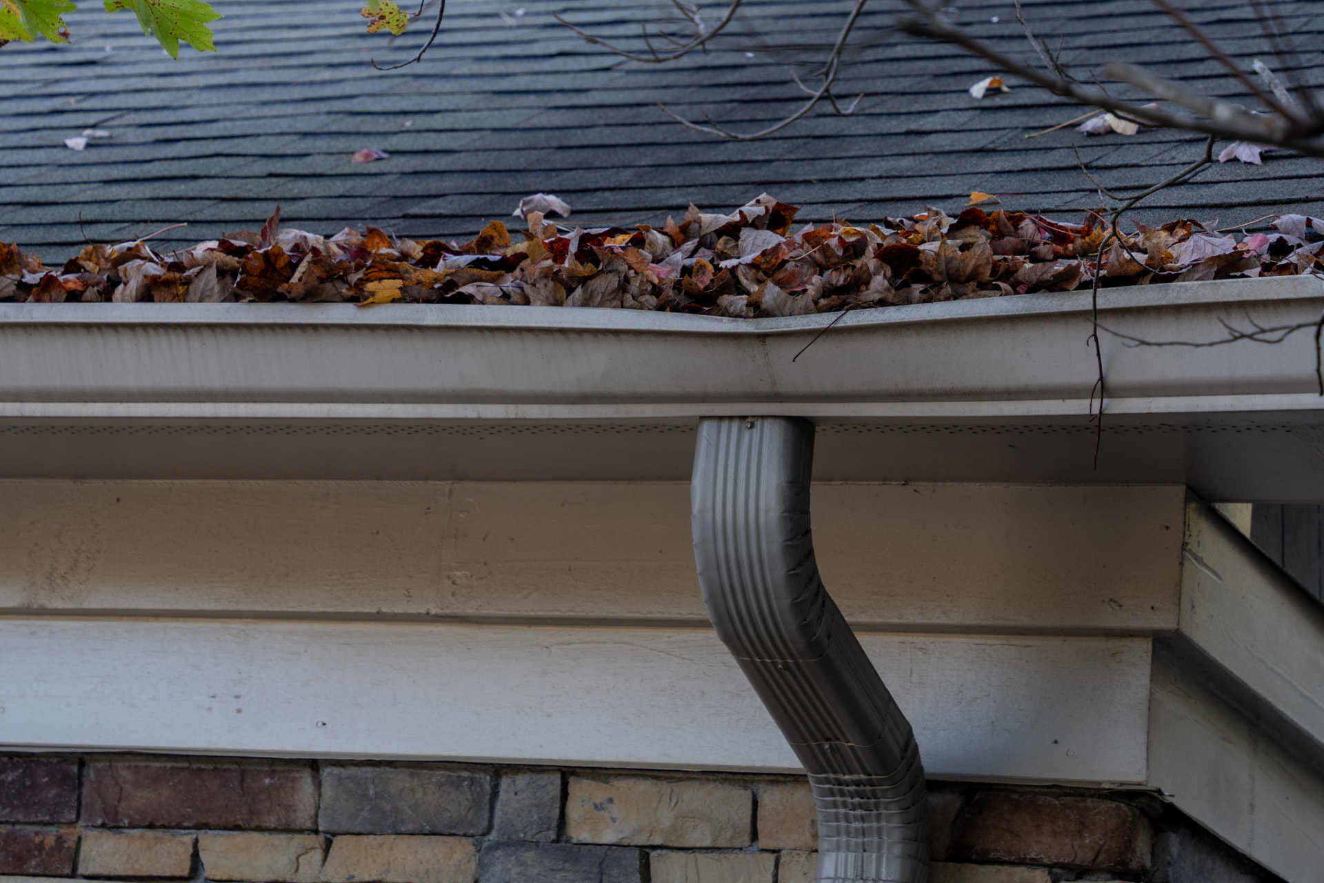 Gloved hands removing autumn leaves from a home rain gutter in Alliance, Ohio