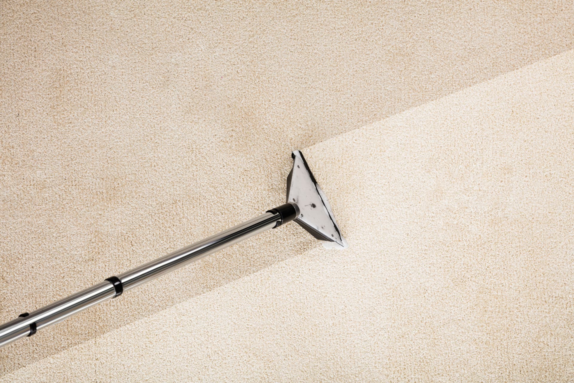 Close-up of carpet extraction showing a clean stripe on beige carpet